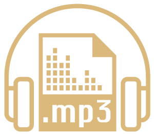 Audio MP3 Logo